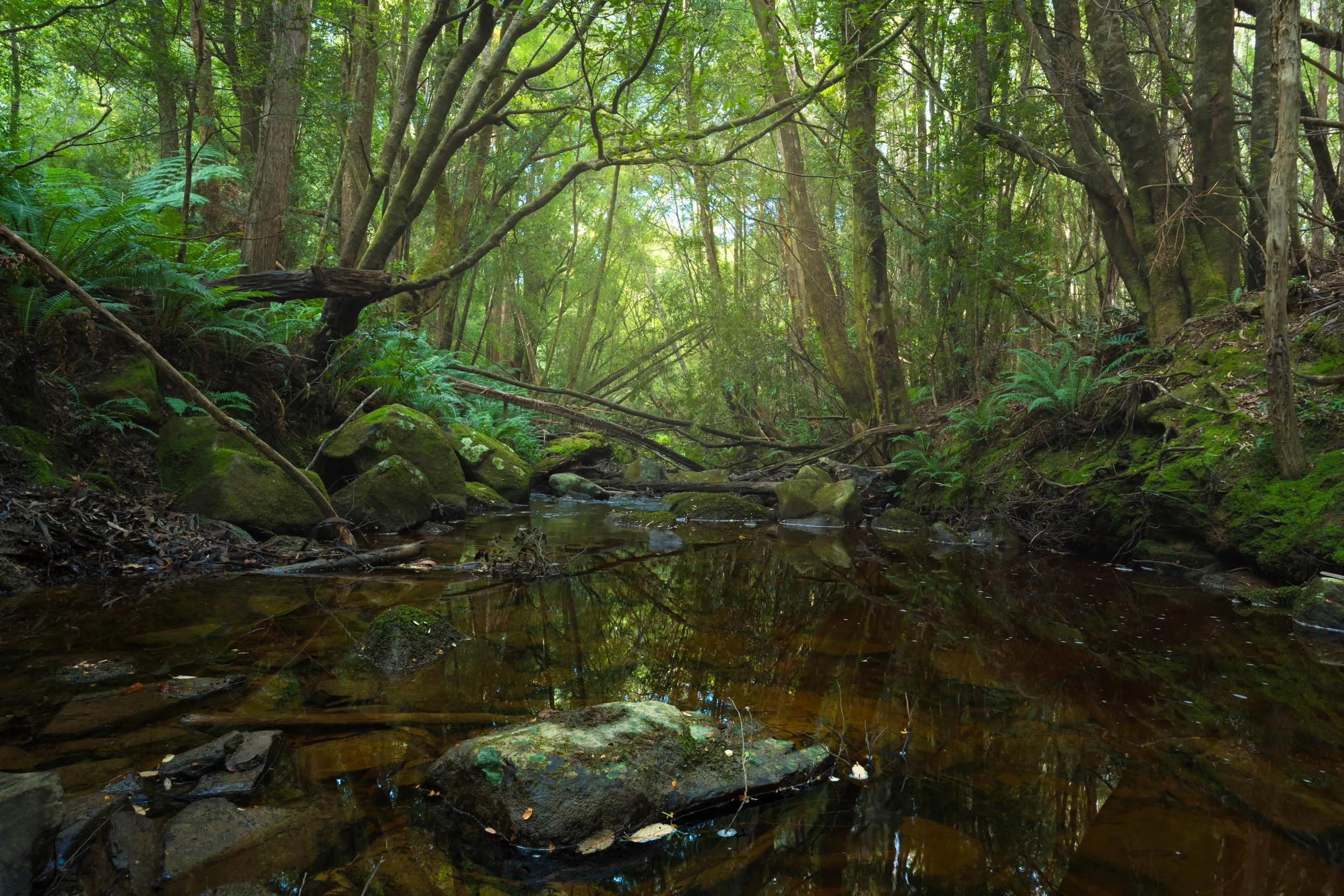 Huon Valley, Tasmania